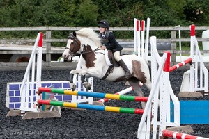 Class 4 - Fences 2'3 to 2'6